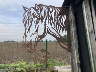 AC46 - Tête de Cheval